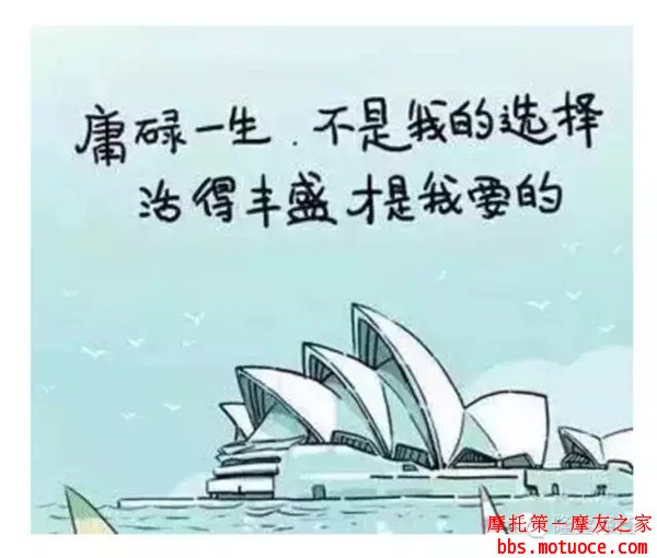 201631895623202.jpg