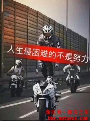 201639162416345.jpg