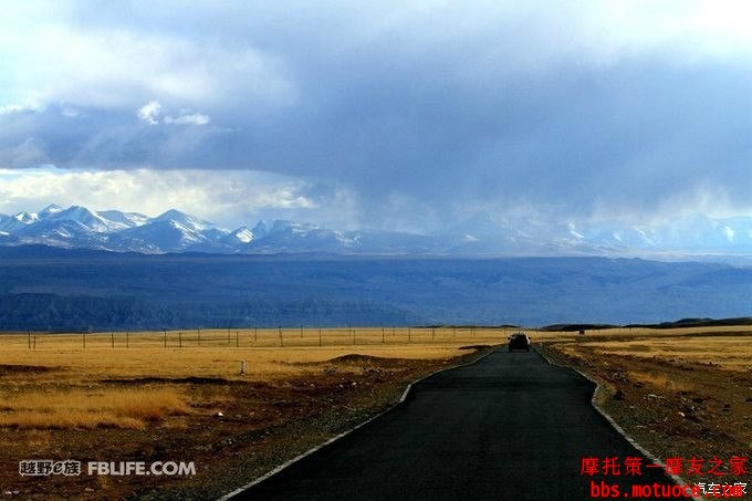 500_17079450-4676-82mt-2bf7-n201a96m6cf6.jpg