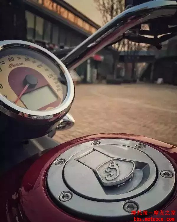 201653165233647.jpg