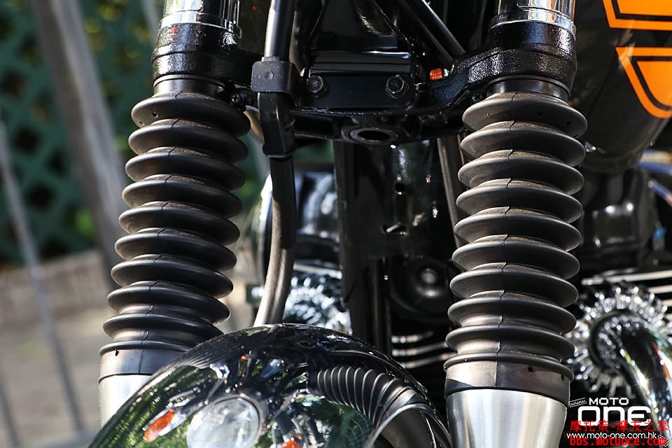 2016_Kawasaki_W800_Final_Edition_17.JPG