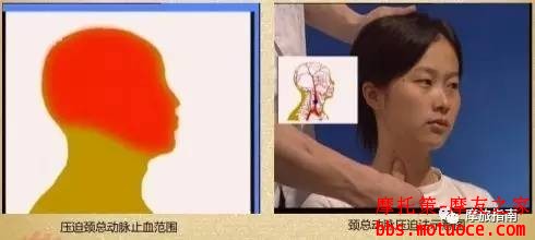 11cd4e9e474ff4b94b9c580cf54d1d20.jpg