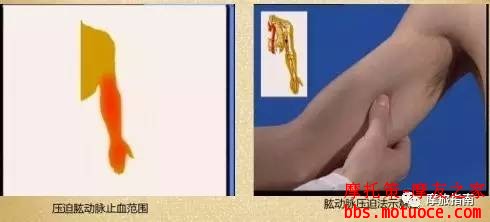b8a20d134eae2b8c7c829bdbfd1b66bc.jpg