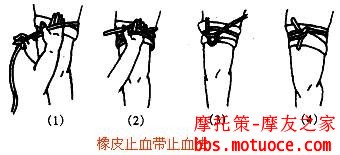 e770dc0a19cd1389ff0c0776fb03a336.jpg