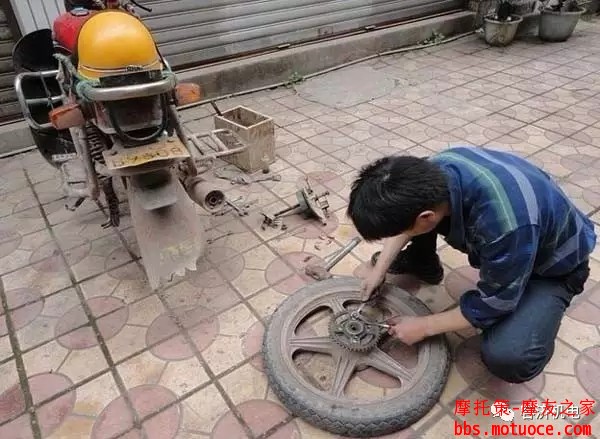 7557.webp.jpg
