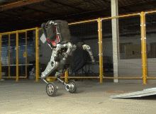 8458.gif
