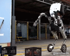 8460.gif