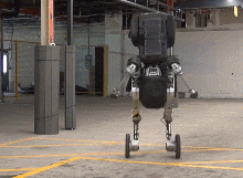 8461.gif