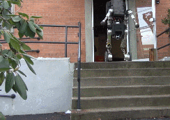 8462.gif