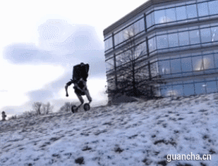 8463.gif