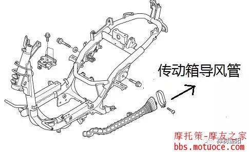 1701.webp.jpg