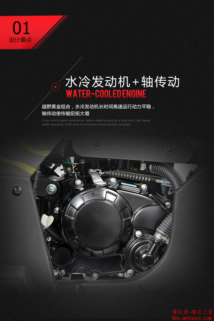 图片11.png